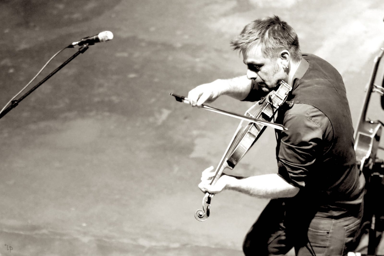 atelier violons sauvages - Stéphane Devineau